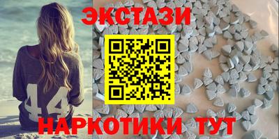 СК Бийск
