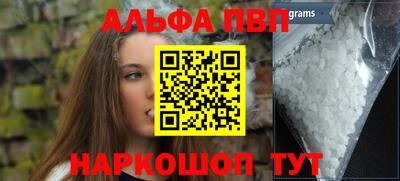СК Бийск