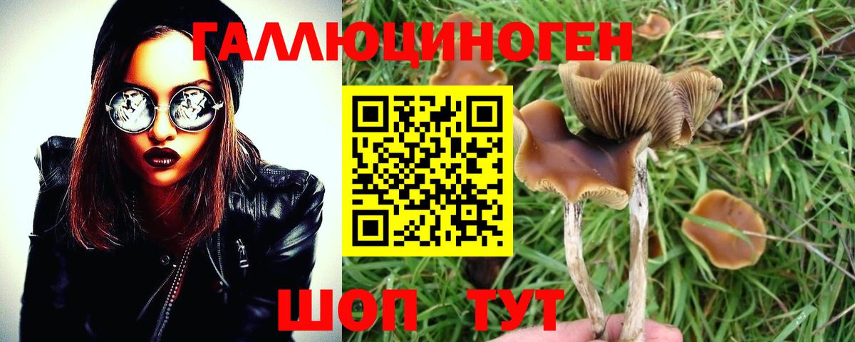 Гагарин  Галлюциногенные грибы MAGIC MUSHROOMS  Псилоцибиновые грибы Cubensis  Вход с VPN 